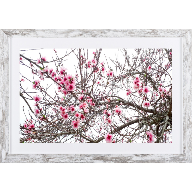 Bondecor Obraz v moderním rámu Modern 37 x 53 cm