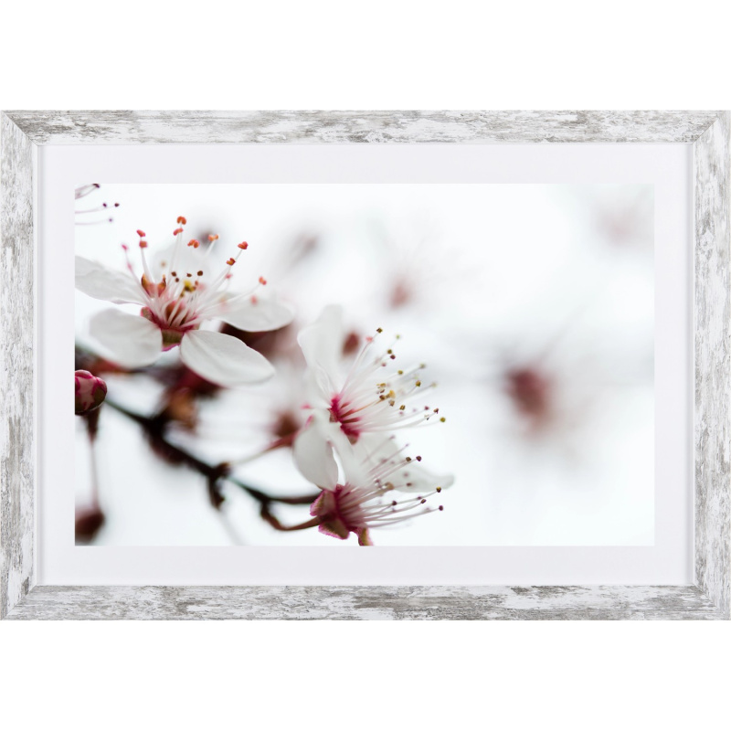 Bondecor Obraz v moderním rámu Flora 37 x 53 cm