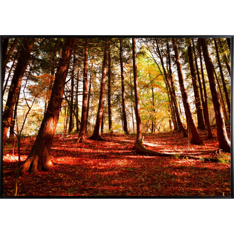 Bondecor Zarámovaný obraz Shadow Scenerie 59 x 84 cm