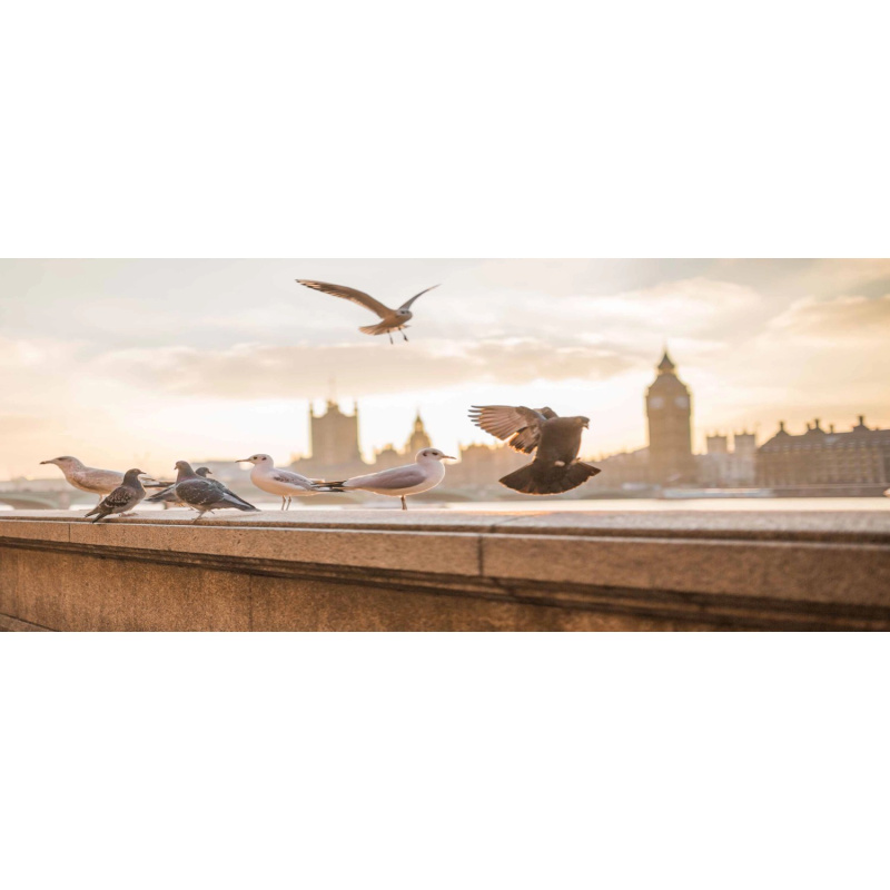 Bondecor Obraz, tištěné plátno Free 50 x 120 cm