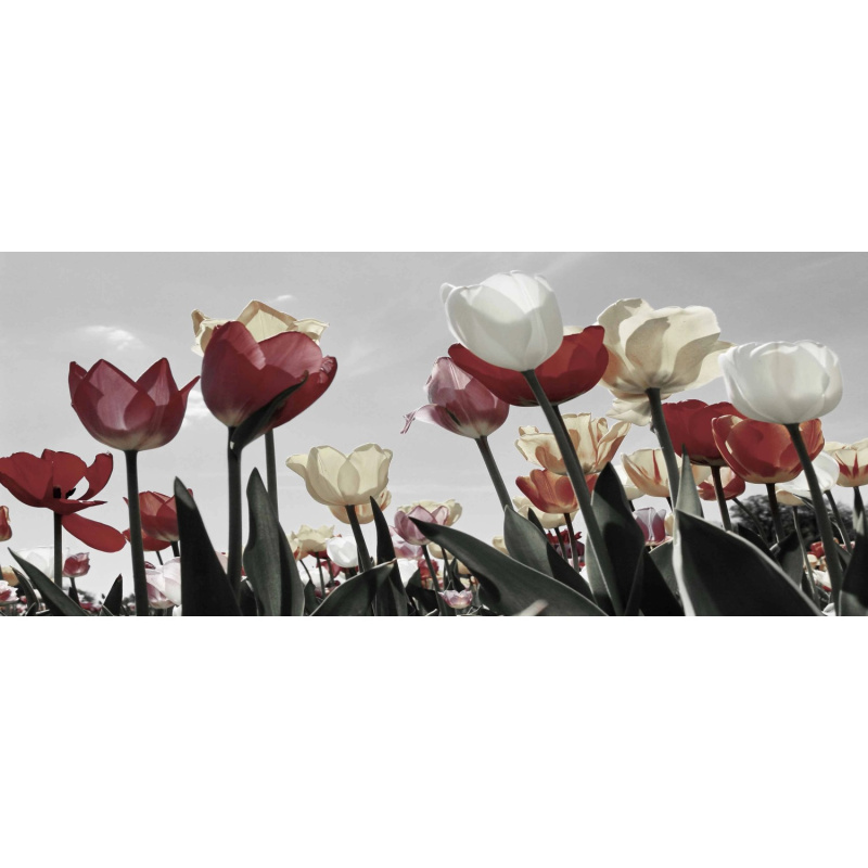 Bondecor Obraz, tištěné plátno Romance 50 x 120 cm