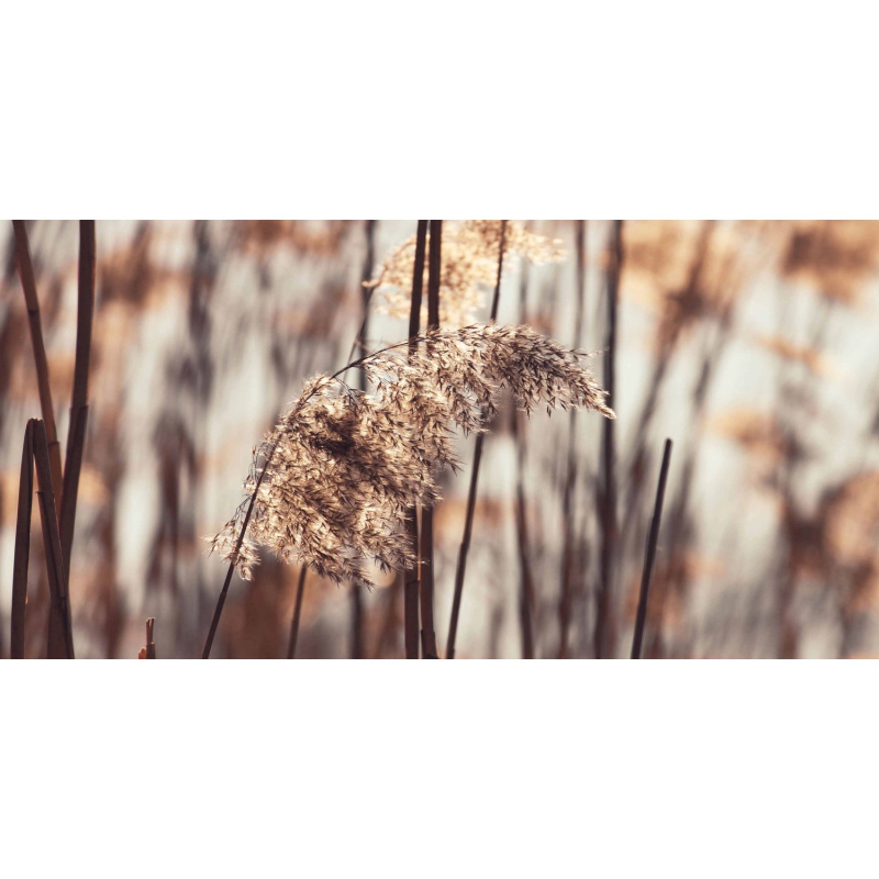 Bondecor Obraz, tištěné plátno Trendy 50 x 100 cm