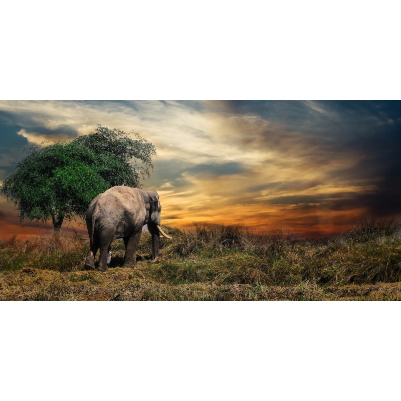 Bondecor Obraz, tištěné plátno Krajina 50 x 100 cm