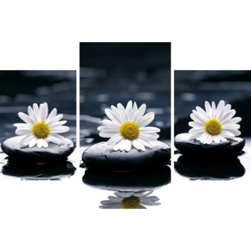 Bondecor 3dílná sada obrazů Feng 50 x 70 cm