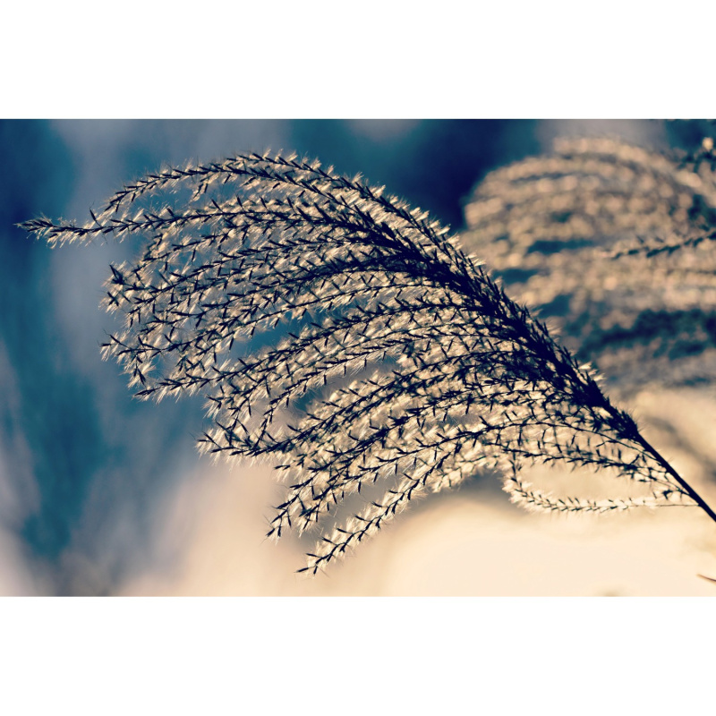 Bondecor Zarámovaný obraz Shadow Detail 60 x 100 cm