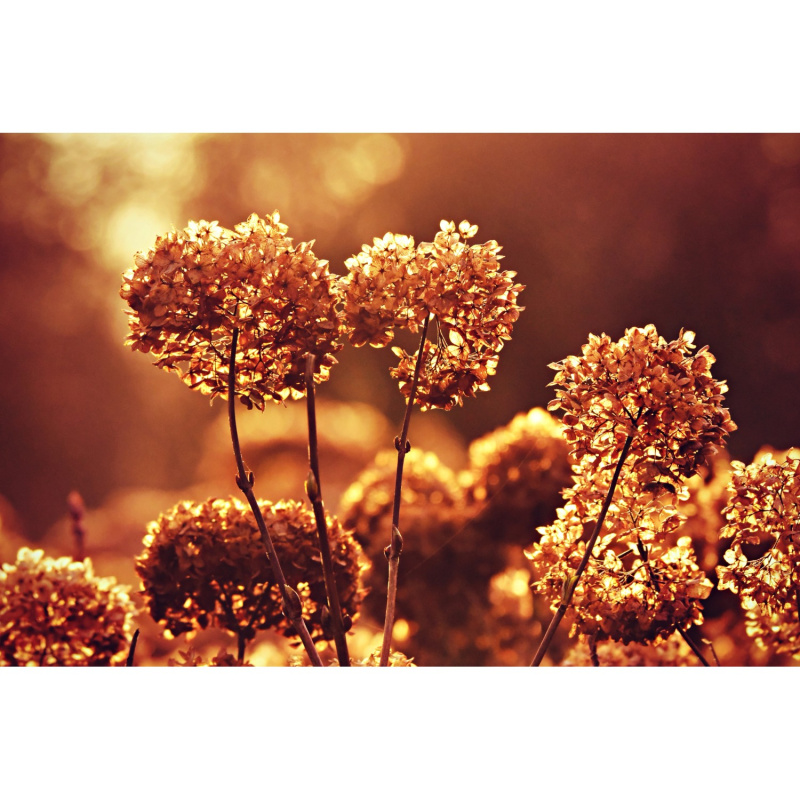 Bondecor Zarámovaný obraz Shadow Sun 60 x 100 cm