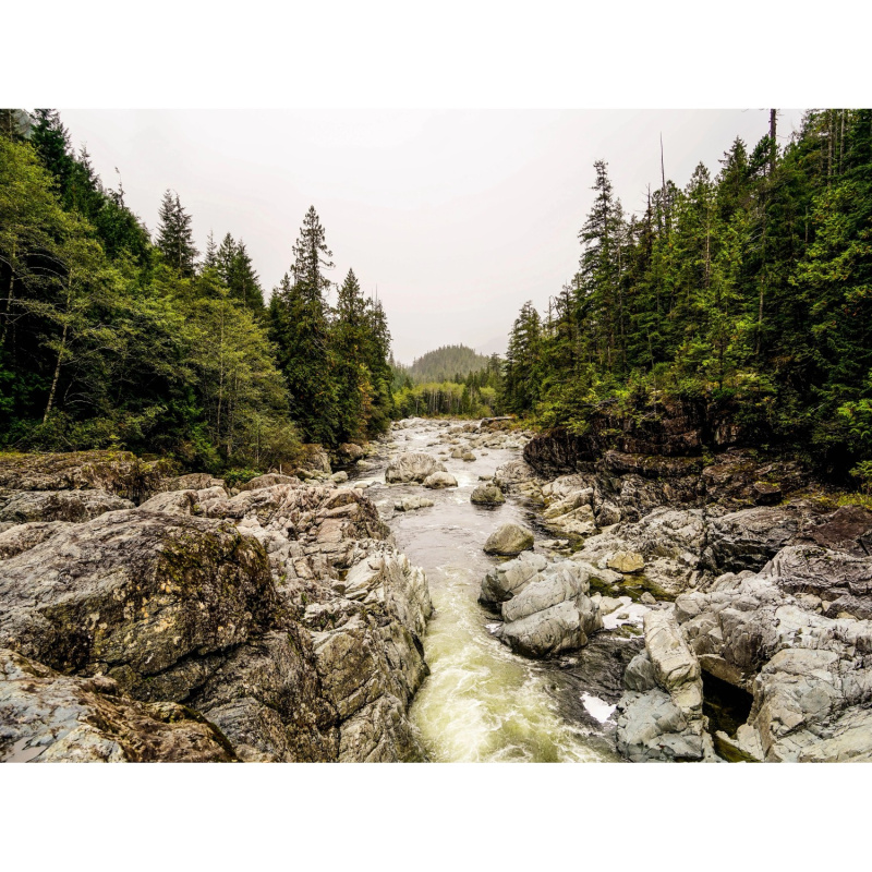 Bondecor Obraz, tištěné plátno Nature 60 x 80 cm