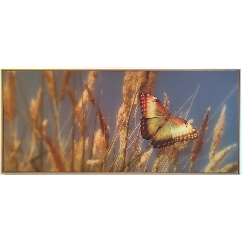 Bondecor Obraz, MDF rám, SHADOW Butterfly 59 x 134 cm
