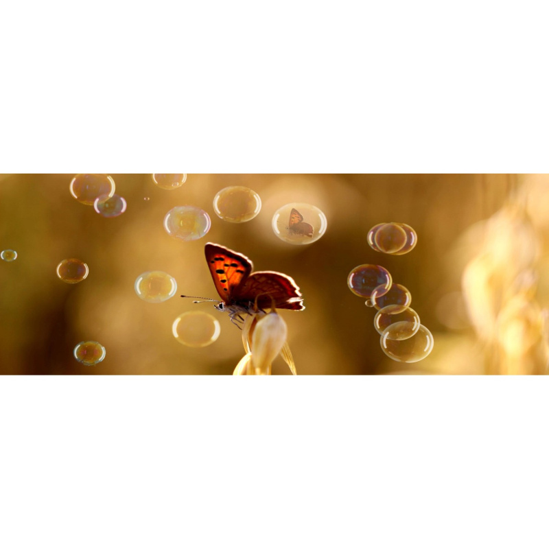Bondecor Obraz, tištěné plátno CAGI Motýl bubble 50 x 120 cm