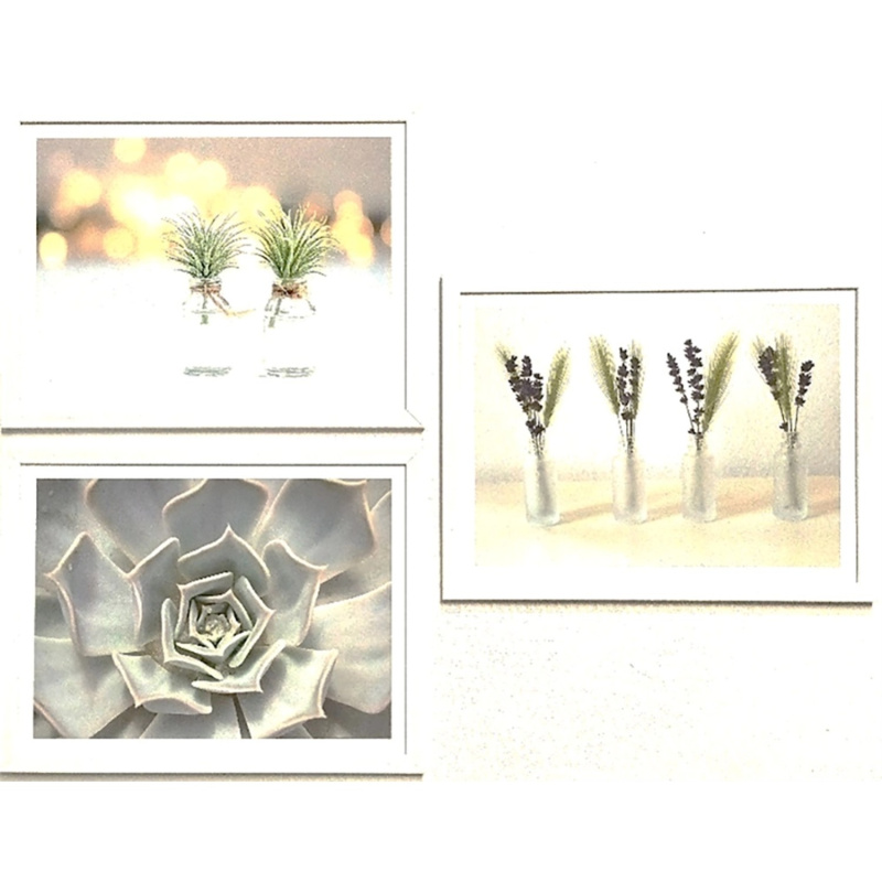 Bondecor Sada obrazů Succulent 42 x 98 cm