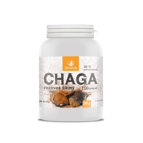 ALLNATURE Chaga 100 tobolek