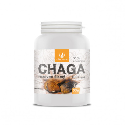 ALLNATURE Chaga 100 tobolek