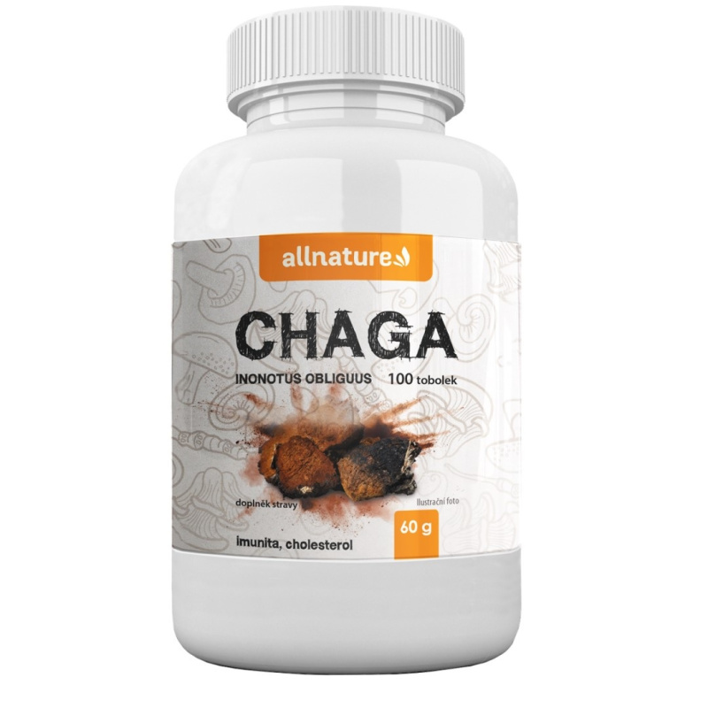 ALLNATURE Chaga 100 tobolek