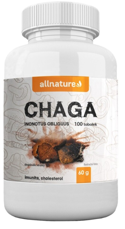 ALLNATURE Chaga 100 tobolek