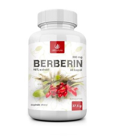 ALLNATURE Berberin Extrakt 98% 500 mg 60 kapslí