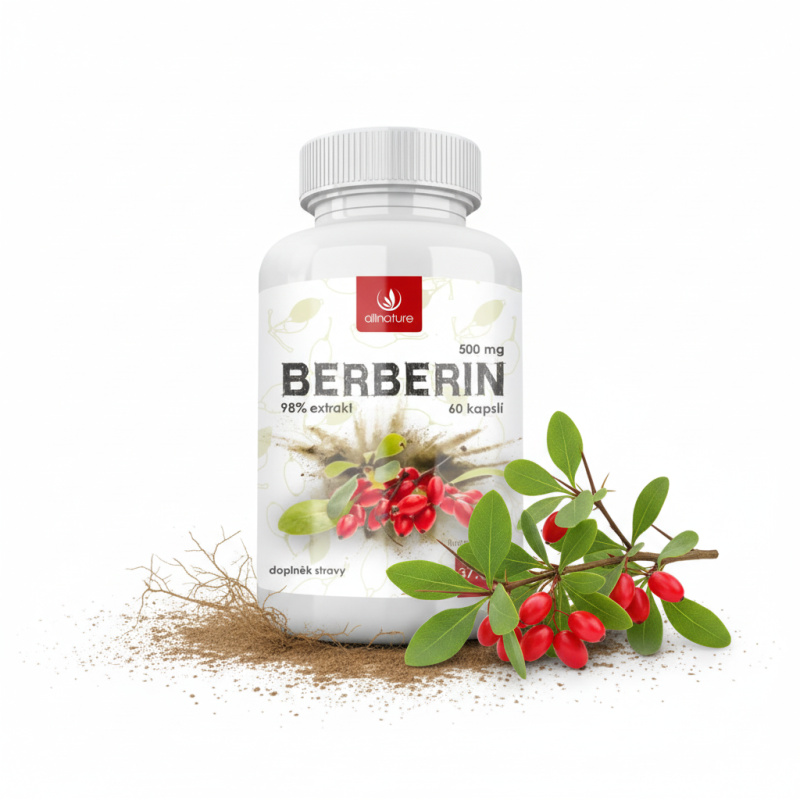 ALLNATURE Berberin Extrakt 98% 500 mg 60 kapslí