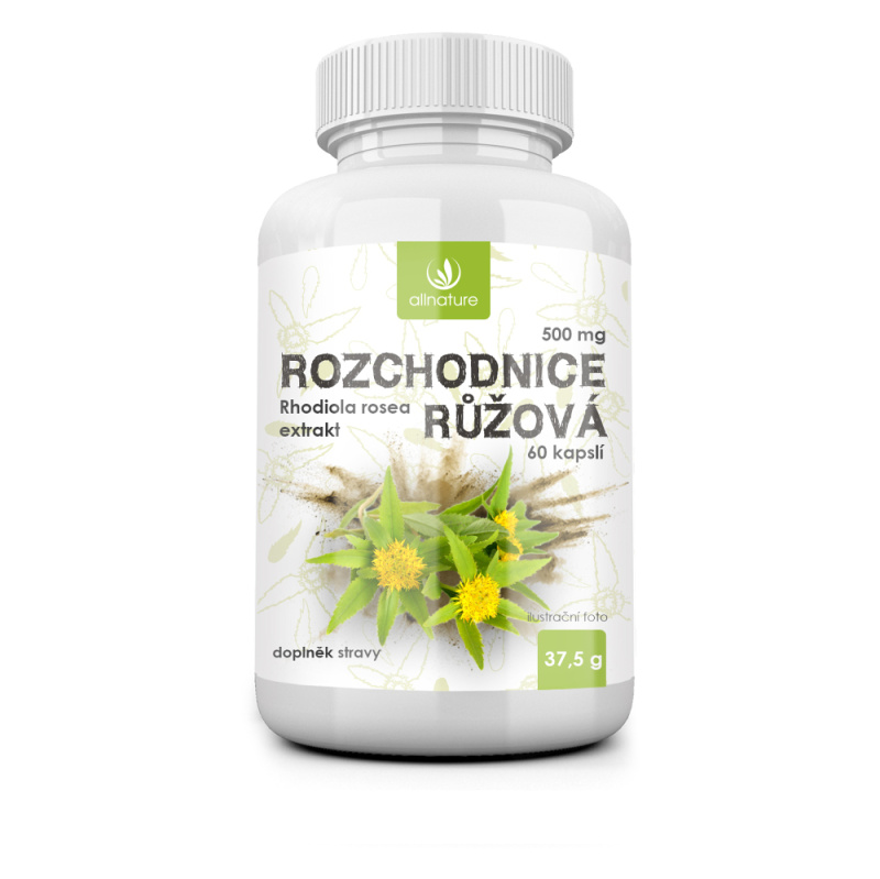 Allnature Rozchodnice Rhodiola Rosea 500mg cps.60