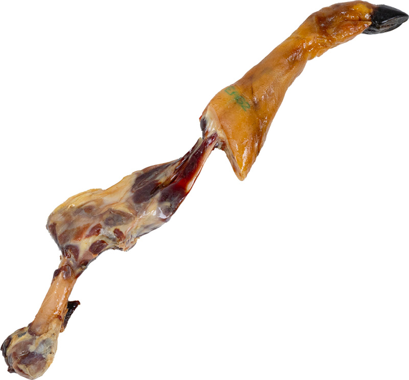 Magnum Iberian Bone XXXL