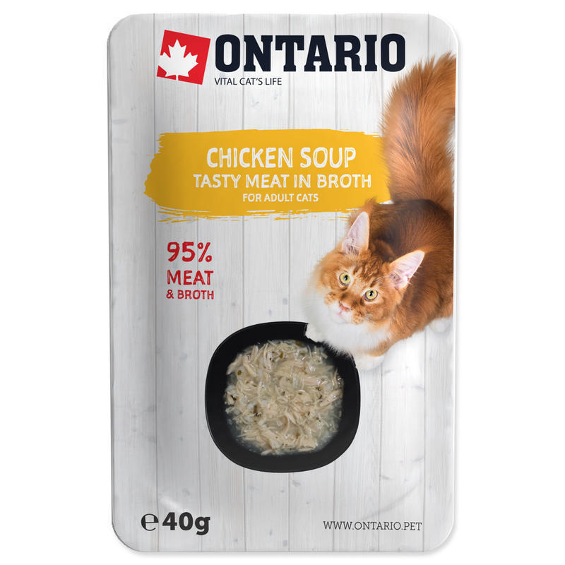 Polévka ONTARIO kuřecí 40 g