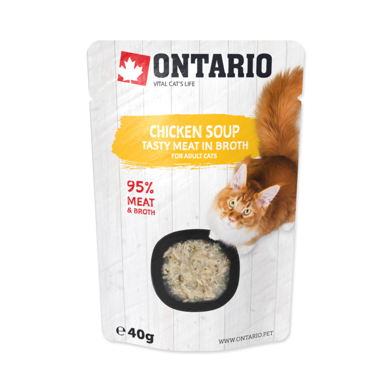 Polévka ONTARIO kuřecí 40 g