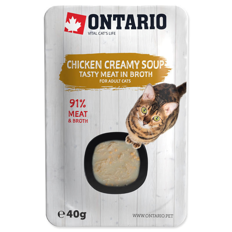 Polévka ONTARIO kuřecí se sýrem 40 g