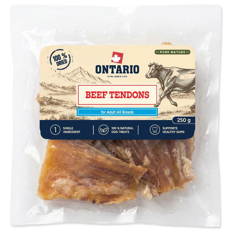 Pochoutka Ontario Pure Nature hovězí šlachy sušené 250g