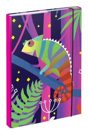 Baagl A4 chameleon A-30421 růžová