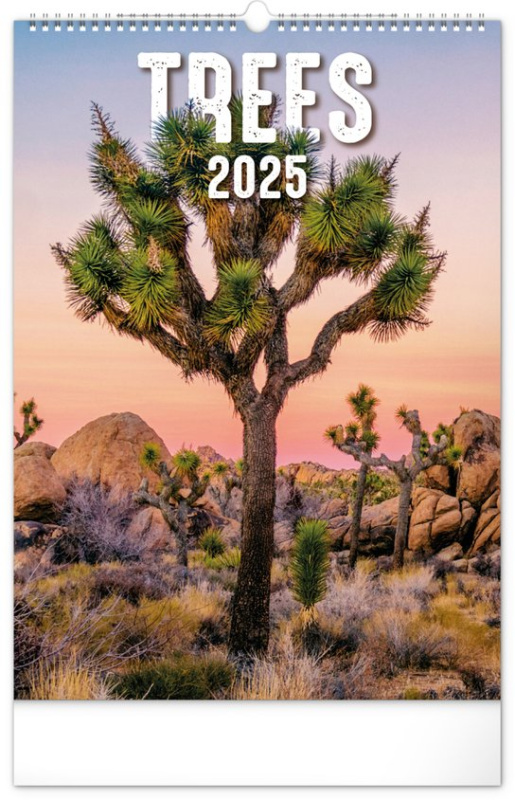 Nástěnný kalendář Stromy 2025