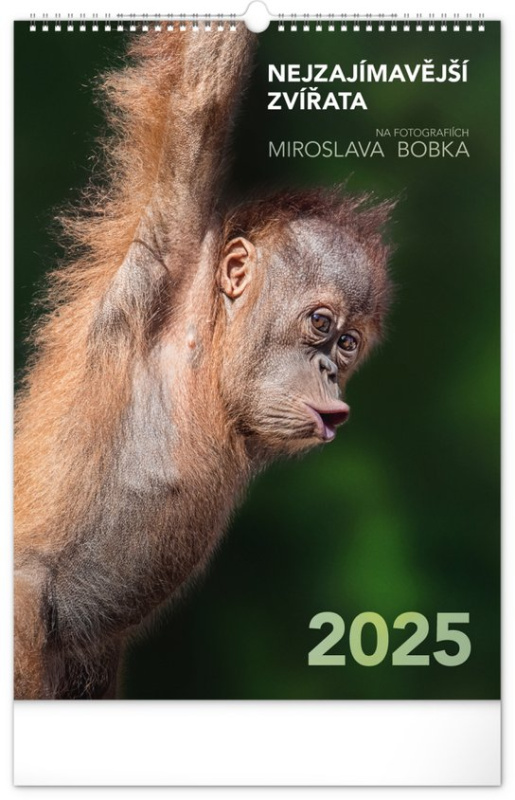 Nástěnný kalendář Nejzajímavější zvířata 2025