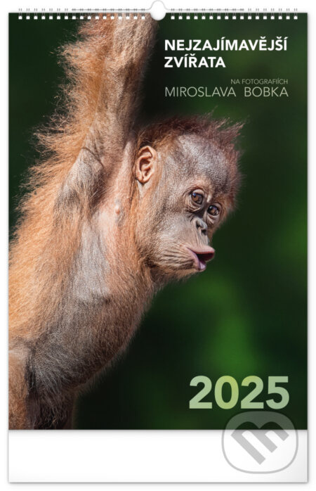 Nástěnný kalendář Nejzajímavější zvířata 2025