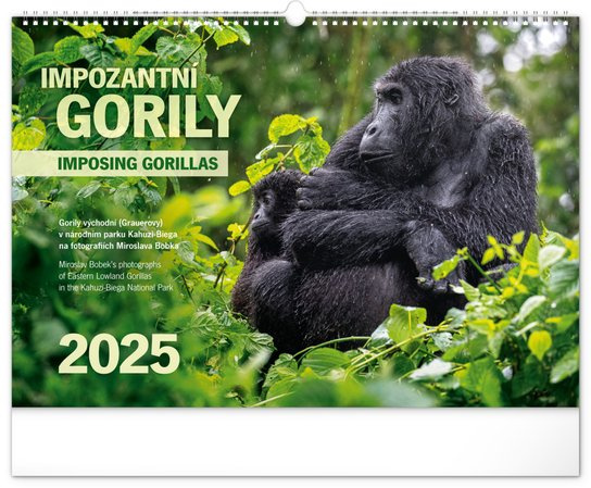 Nástěnný kalendář Impozantní gorily 2025