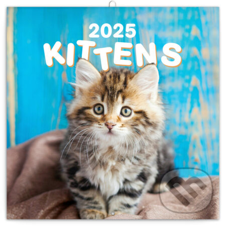 NOTIQUE Nástenný poznámkový kalendár Kittens (Mačiatka) 2025