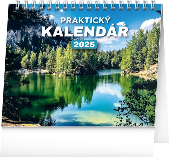 NOTIQUE Stolní Praktický kalendář 2025 (řádky)