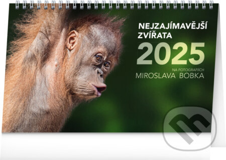 Stolní kalendář Nejzajímavější zvířata 2025