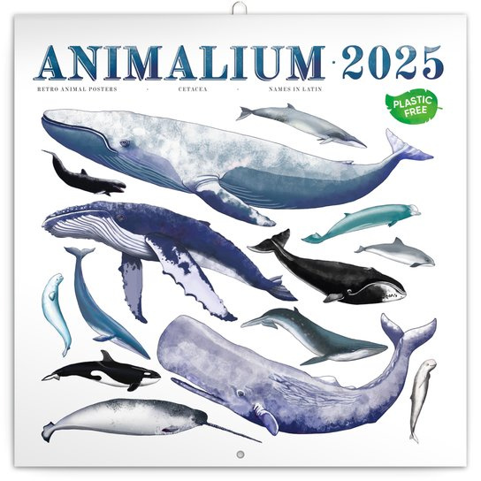 Poznámkový kalendář Animalium 2025