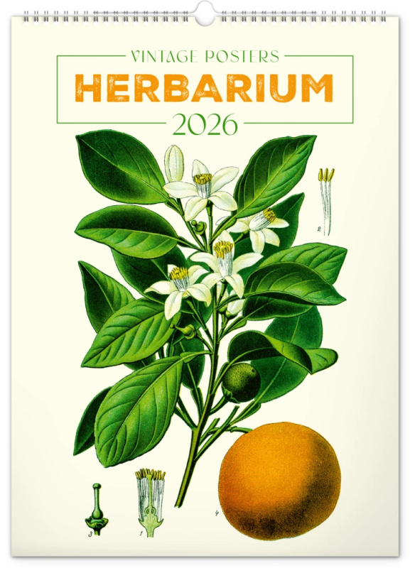 NOTIQUE Nástenný kalendár Vintage plagáty – herbár 2026, 33 x 46 cm