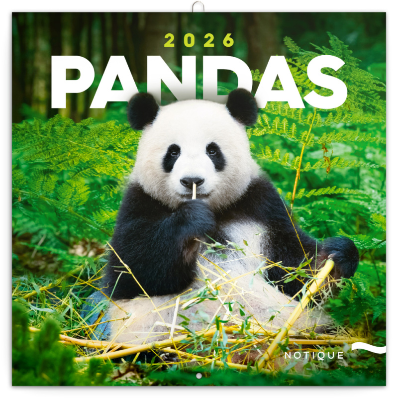 Poznámkový kalendář Pandy 2026