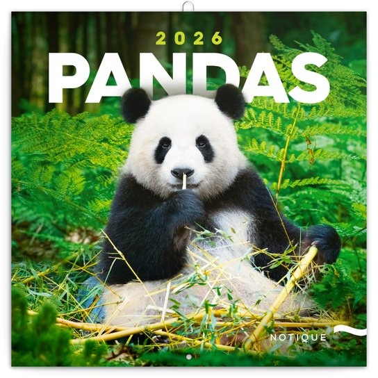 Poznámkový kalendář Pandy 2026