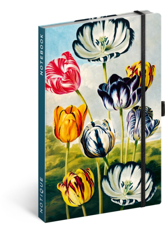 Notes Tulipány Kateřiny Winterové, linkovaný, 13 x 21 cm