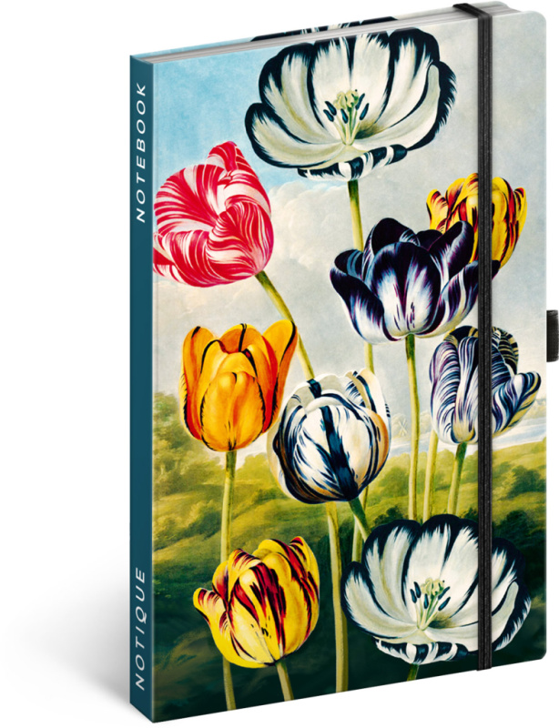 Notes Tulipány Kateřiny Winterové, linkovaný, 13 x 21 cm