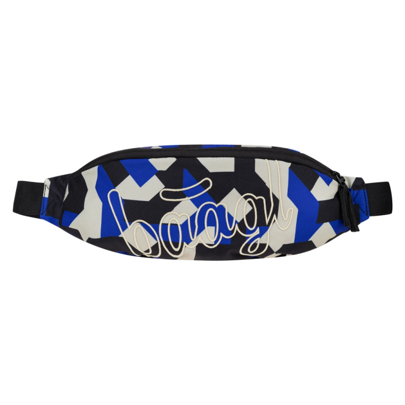 BAAGL Ledvinka Snap Variety GRS Presco Group