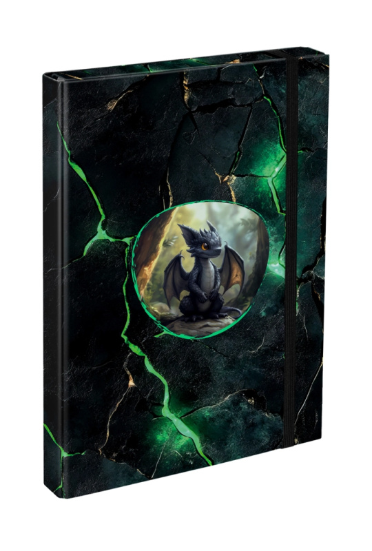 BAAGL Desky na školní sešity A4 Draci Presco Group