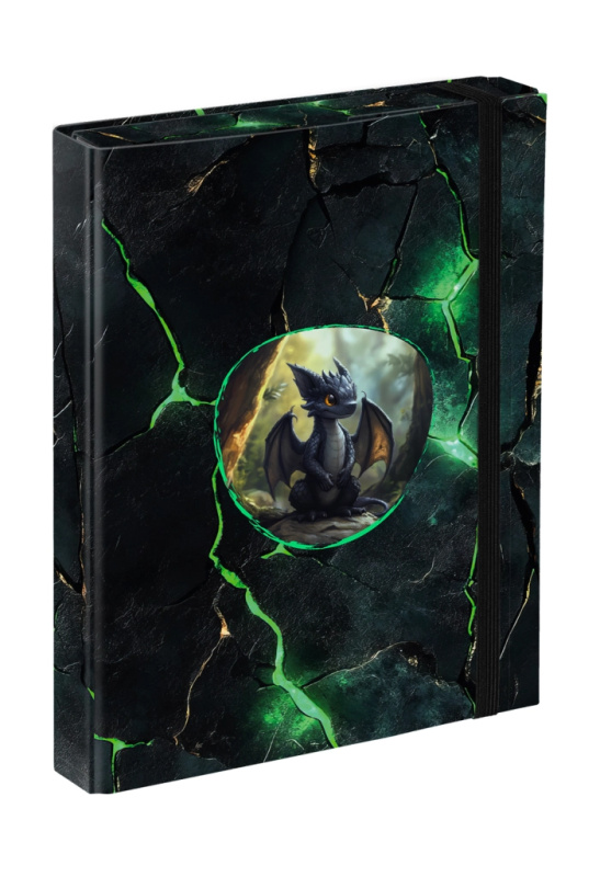 BAAGL Desky na školní sešity A5 Draci Presco Group