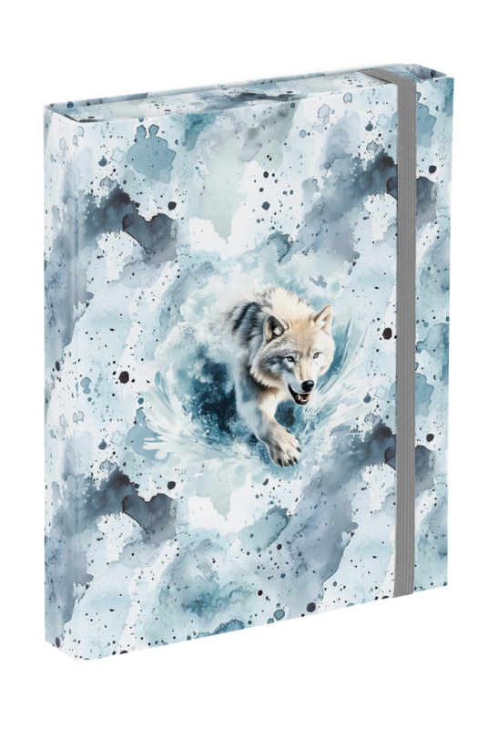 BAAGL Desky na školní sešity A5 Polar Presco Group