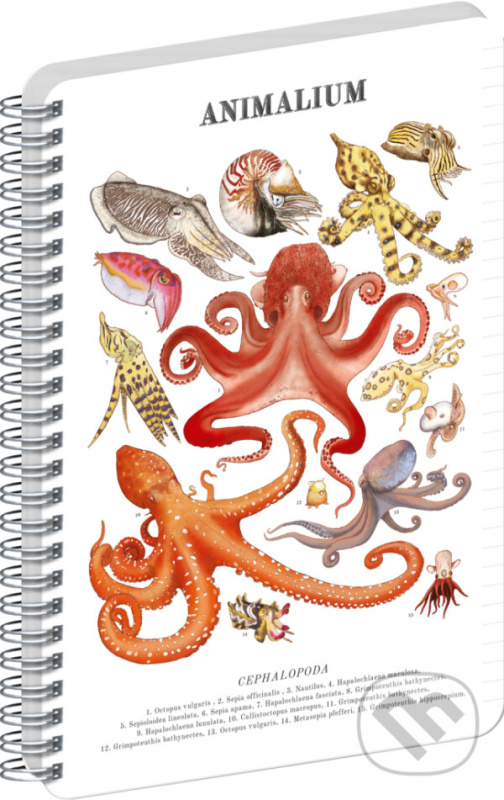 NOTIQUE Špirálový blok Animalium – Hlavonožce (linajkovaný, A4)