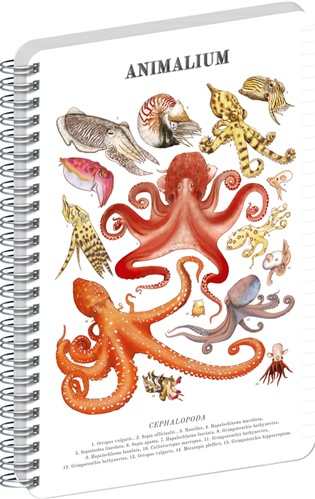 NOTIQUE Špirálový blok Animalium – Hlavonožce (linajkovaný, A5)