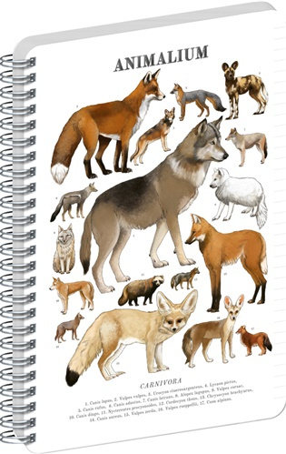 NOTIQUE Špirálový blok Animalium – Psovité šelmy (linajkovaný, A4)