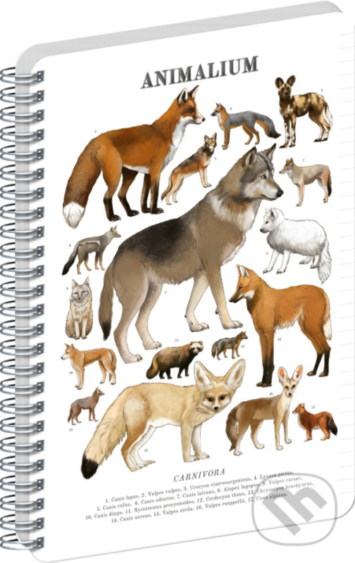 NOTIQUE Špirálový blok Animalium – Psovité šelmy (linajkovaný, A5)