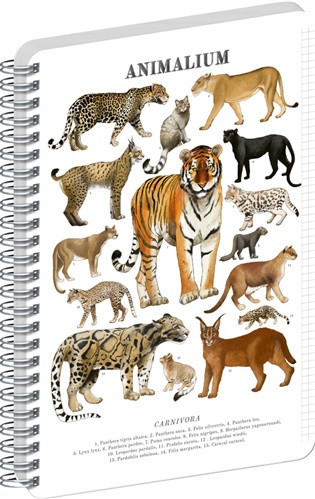 NOTIQUE Špirálový blok Animalium – Mačkovité šelmy