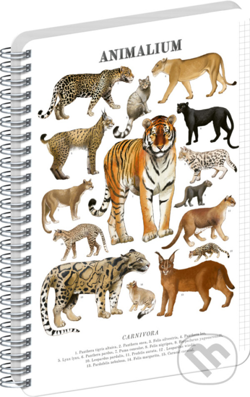 NOTIQUE Špirálový blok Animalium – Mačkovité šelmy